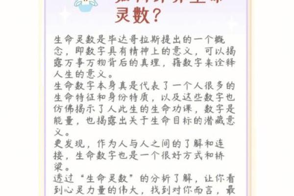 生命灵数配对怎么安排
