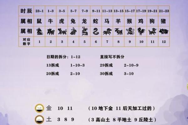 生命灵数配对怎么安排