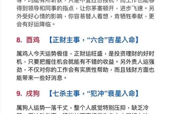 什么血型生肖最有前途