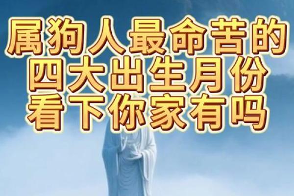 属狗出生最好六个吉日,属狗什么日子出生最好