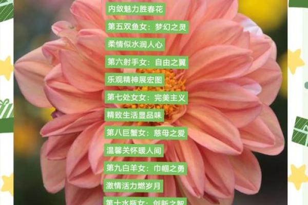 十二星座的女人适合做什么生意
