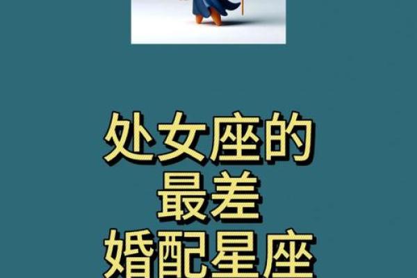 处女座与哪个星座比较相配