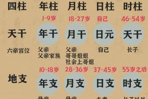 八字解析,八字解析及预测