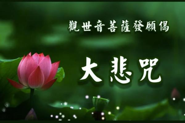观音菩萨发愿偈 观音菩萨发愿偈是什么