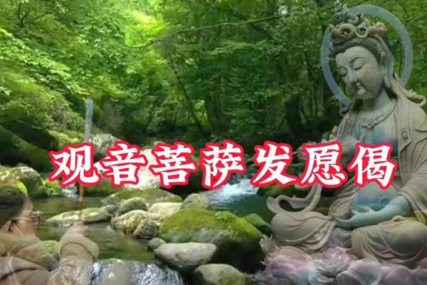 观音菩萨发愿偈 观音菩萨发愿偈是什么