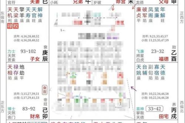 大运紫薇斗数