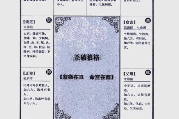 紫薇斗数盘下载