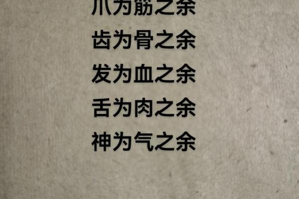 算命术中俗相什么意思