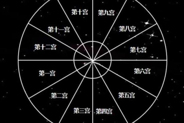 如何看懂自己的命盘十二宫,星盘12宫位代表含义