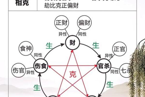 八字入门基础之十神，#国学文化