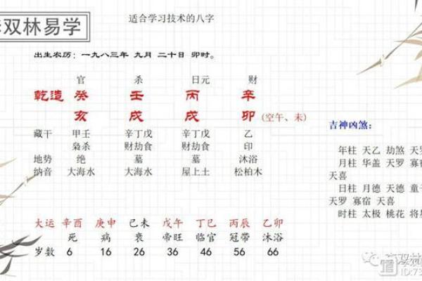 李双林八字讲财库