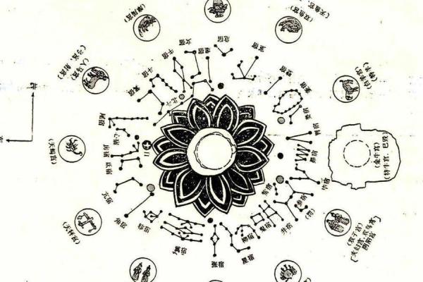 道教紫微斗数 道教紫微星？