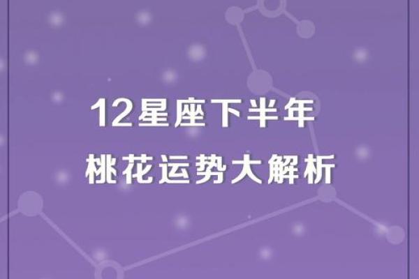 丘比特星座下半年运势