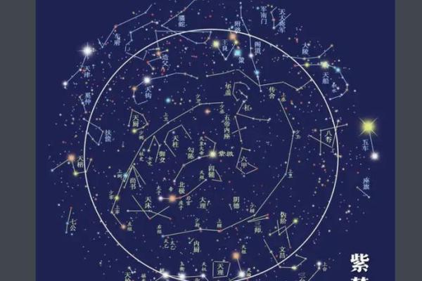 十二生肖紫薇斗数