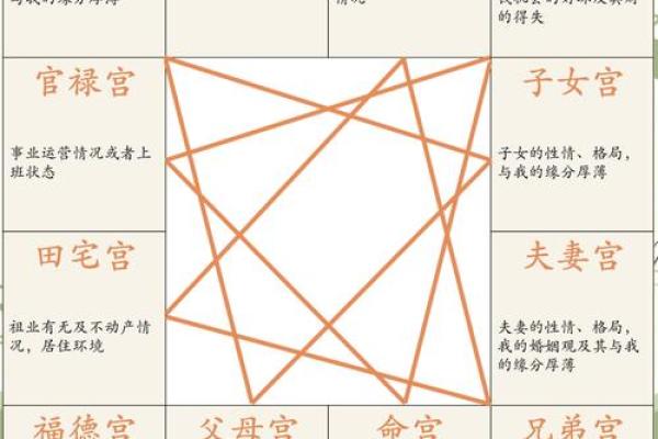 十二生肖紫薇斗数