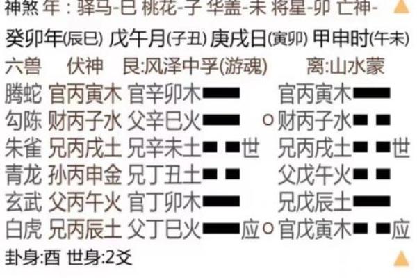 用梅花易数可以算命吗