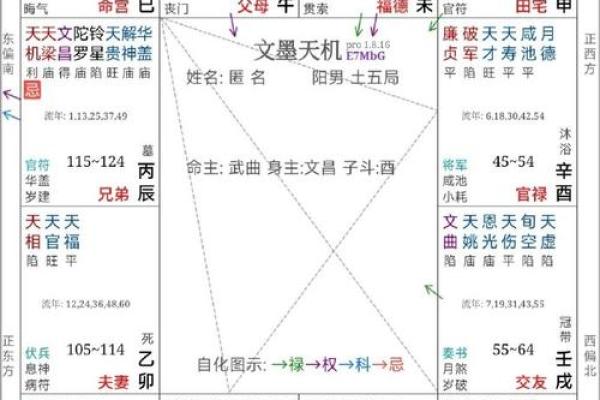 紫薇斗数流出忌