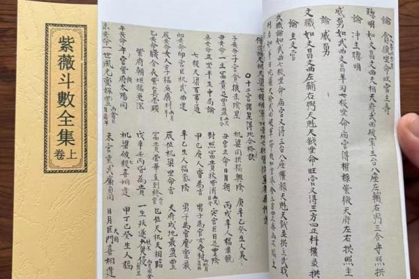 惯索紫薇斗数