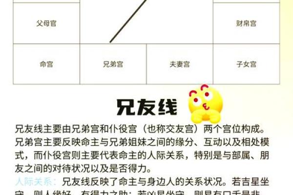 紫薇斗数详细测试
