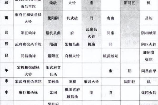 火星陀螺紫薇斗数