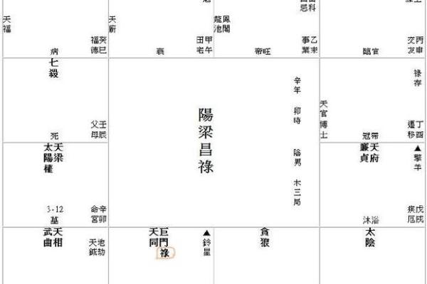 紫薇斗数入住解说