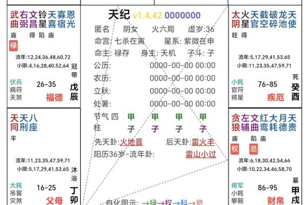日月并命格,紫微斗数十大贵命命格