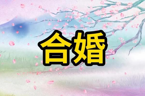 八字合婚合姻缘