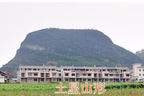 巨门土星峦头风水