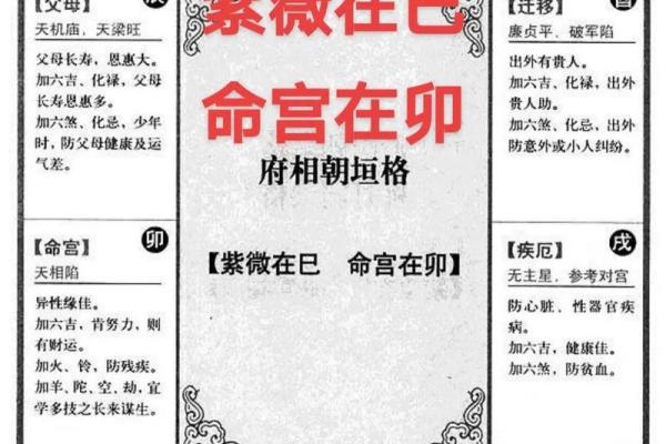 青龙紫薇斗数命宫