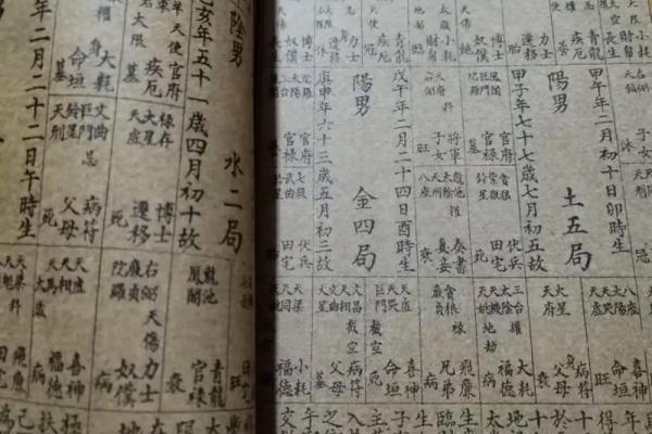紫薇斗数子斗在卯