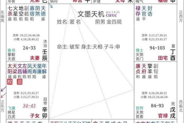 双胞胎紫薇斗数
