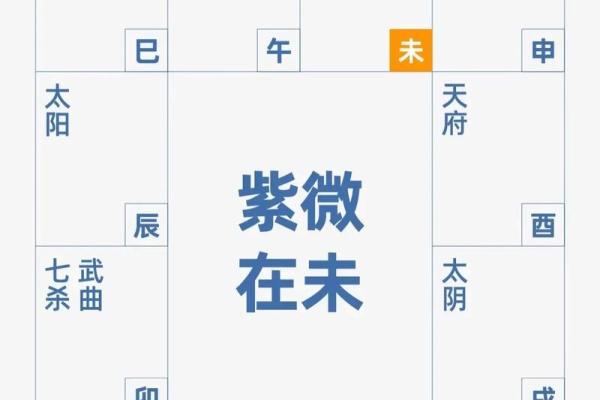 怎样解紫薇斗数