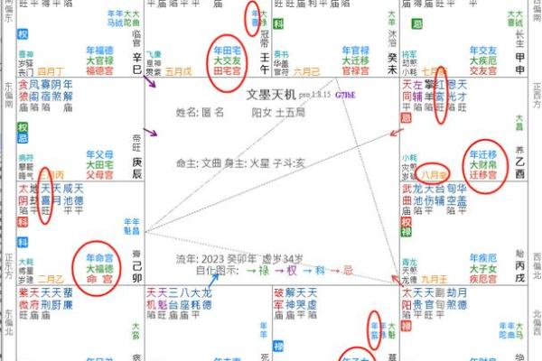紫薇斗数财帛红鸾