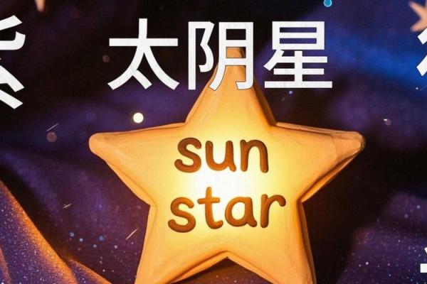 紫薇斗数太阴视频