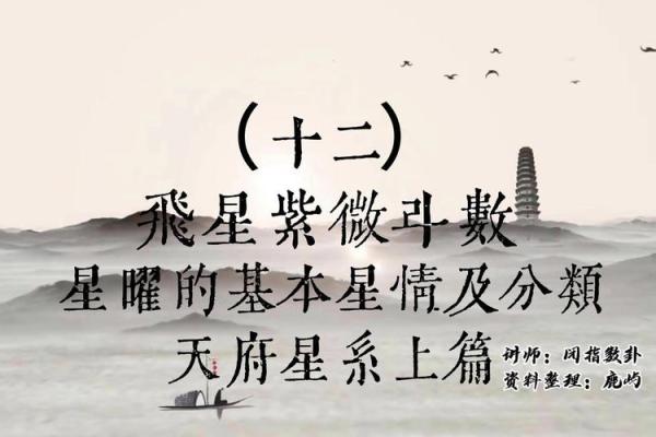 紫微斗数飞星看姻缘 紫微斗数飞星什么意思？