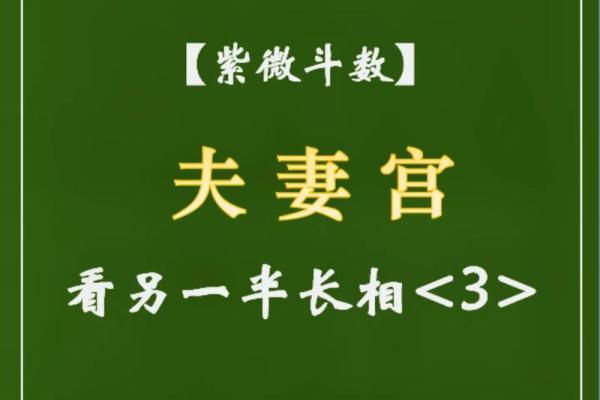 紫薇斗数看配偶样貌