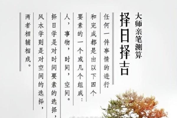 开店风水的讲究，让人生财有道