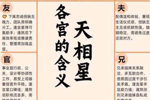 紫薇斗数性格定盘