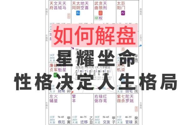 人生紫薇斗数