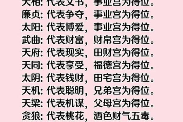 pdf紫薇斗数全书下载