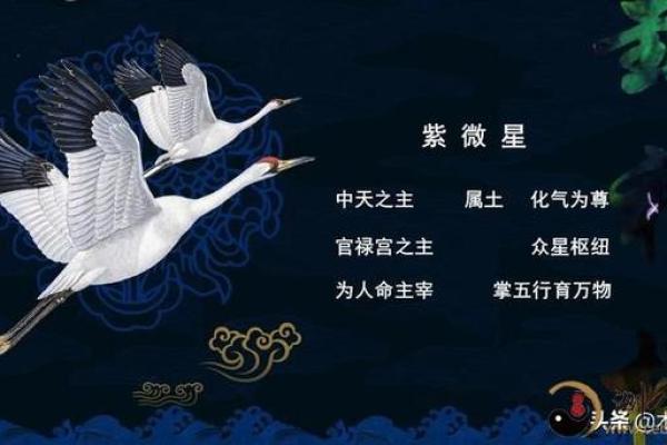文昌火星紫薇斗数