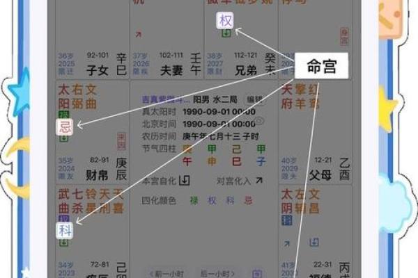 紫薇斗数宫位吉利