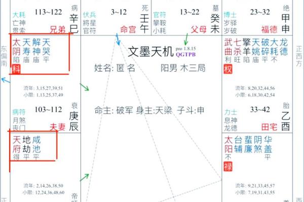 紫薇斗数看子女长相