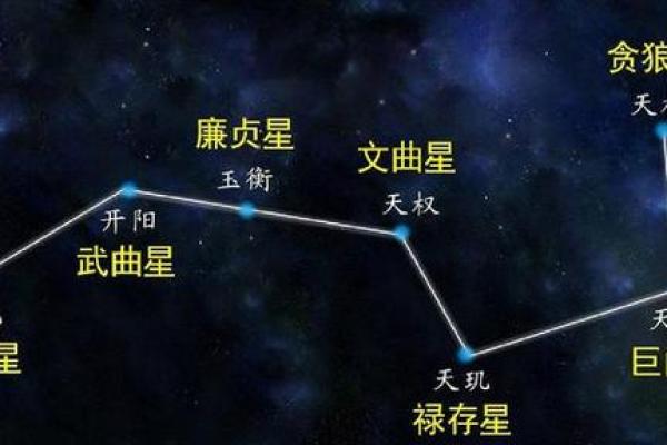 紫薇斗数安非主星