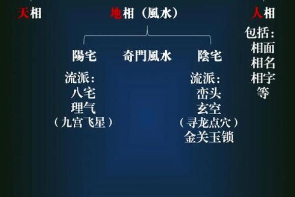城府深的紫薇斗数