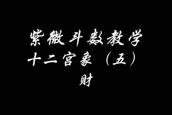 紫薇斗数财帛6