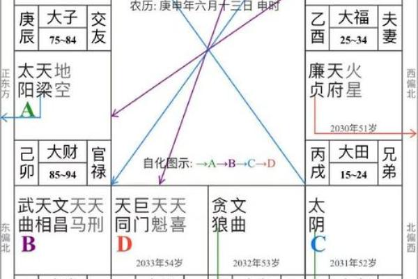 紫薇斗数命盘会照