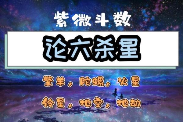 紫薇斗数财帛官陀螺