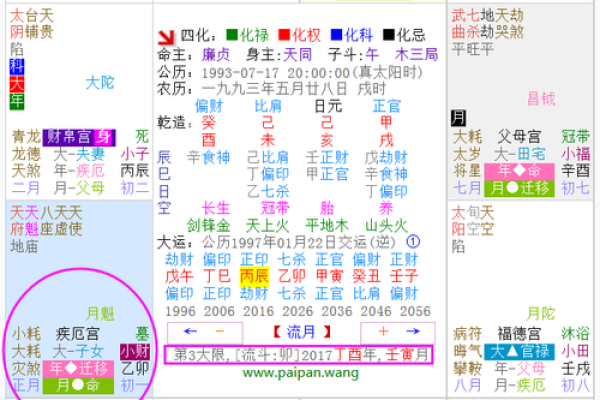 紫微斗数免费算命详解,紫微斗数免费算命神巴巴网