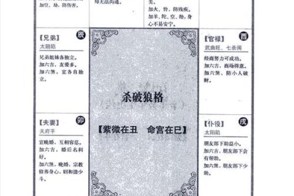 紫微斗数免费算命详解,紫微斗数免费算命神巴巴网